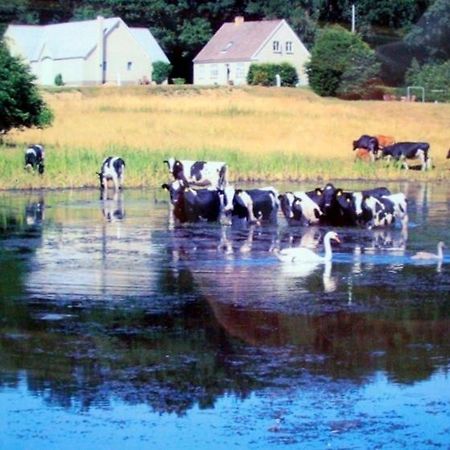 Engelsholm Bed & Breakfast Bredsten  Bagian luar foto
